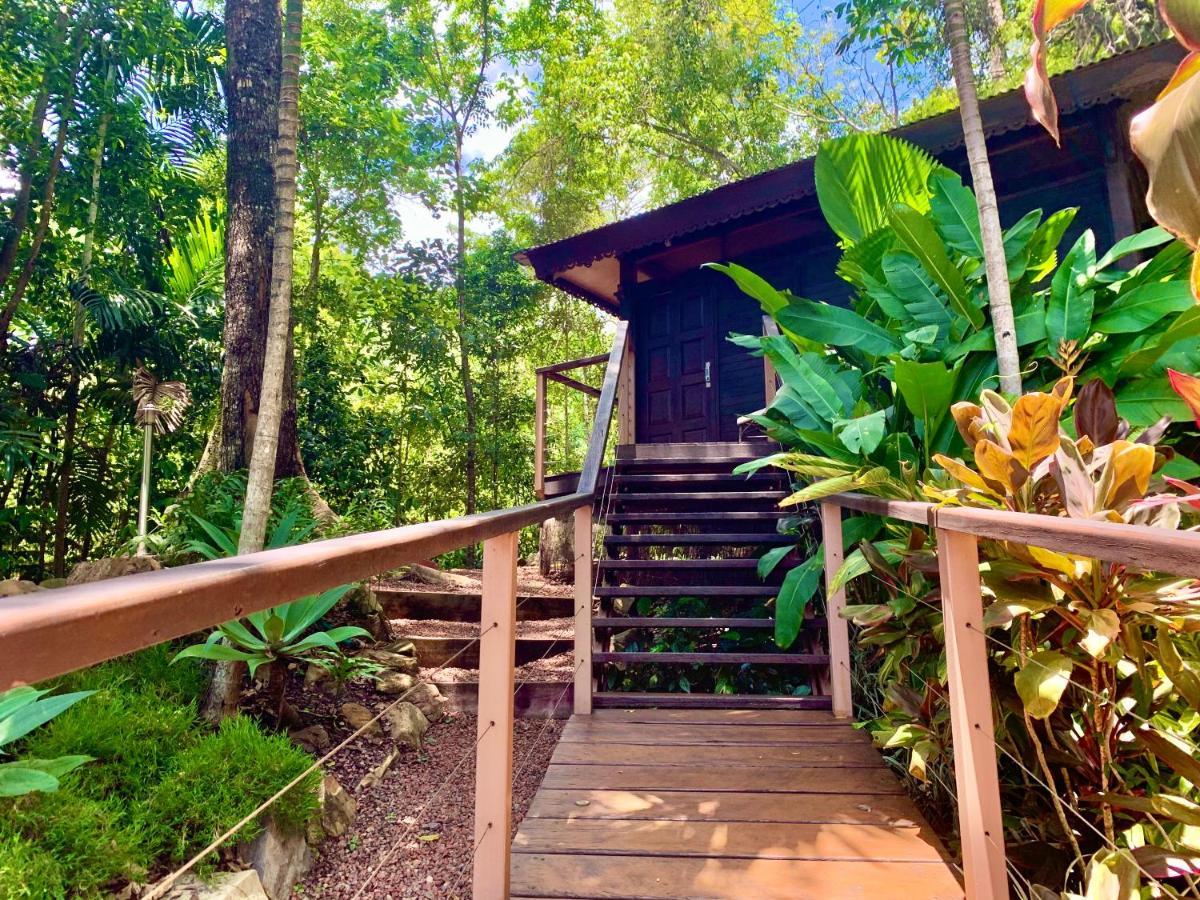 Cairns Rainforest Retreat Exterior photo
